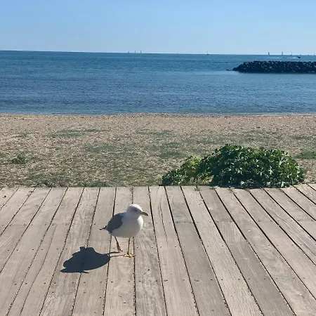 דירה Studio Face A La 4 Couchages - Gratuits Piscine Tennis Et Un Parking Prive Rare Et Tres Utile - Vue Magnifique Sur La - Agreable En Toutes Saisons Ile Des Pecheurs - La Brigantine - Emplacement Et Vue Rares Au Cap D'agde *